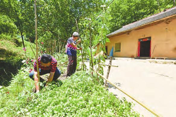 蓝田:二仙桥村"第一书记"魏海平 带病驻村搞扶贫