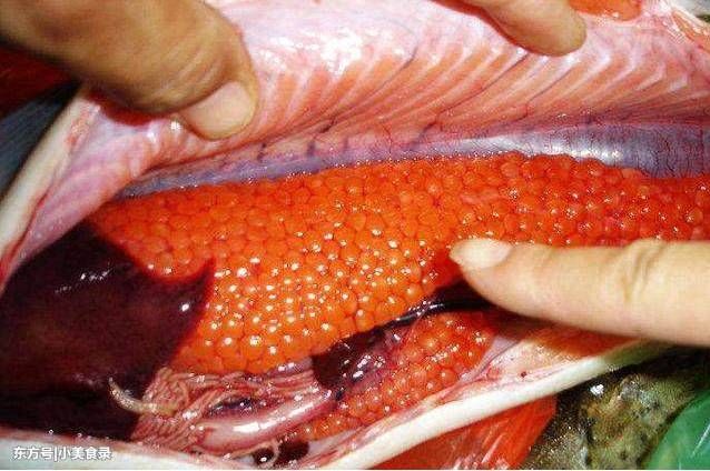 90%的人都不会吃鱼,真正的好东西在鱼肚子里,可惜都被扔了!