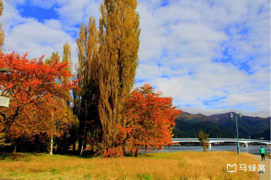 几月观赏富士山好,观赏富士山最佳时间 地点 乘