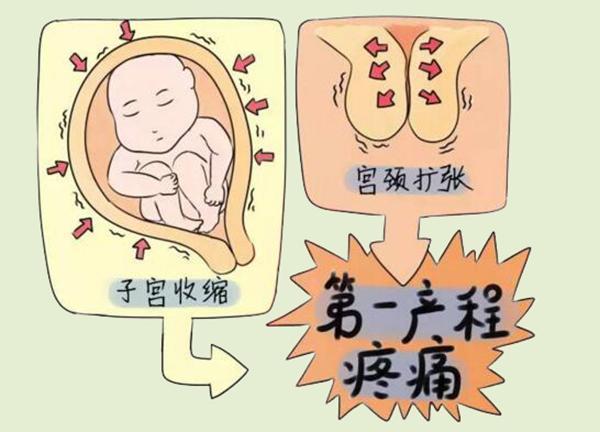 孕妇分娩时,胎儿是这样从产道出生的,太神奇了!