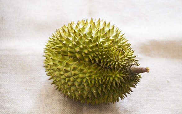 什么时候的榴莲 最好吃且价钱便宜?