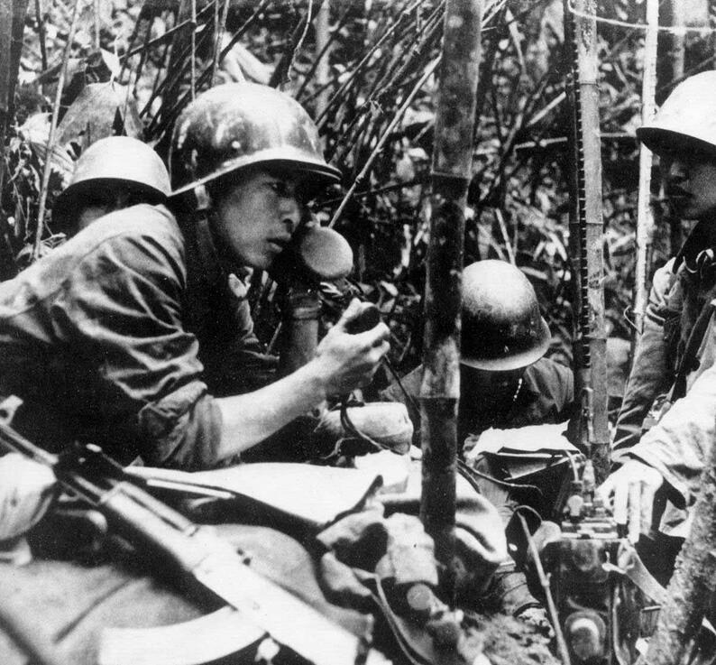 1986年越共领导人黎笋死后，长征、阮文灵先后继任，实行革新开放，对外调整与中国及东盟邻国的关系，对内进行经济体制改革，使越南走上正确的发展道路。1989年，越南军队撤离柬埔寨，中越实现关系正常化。