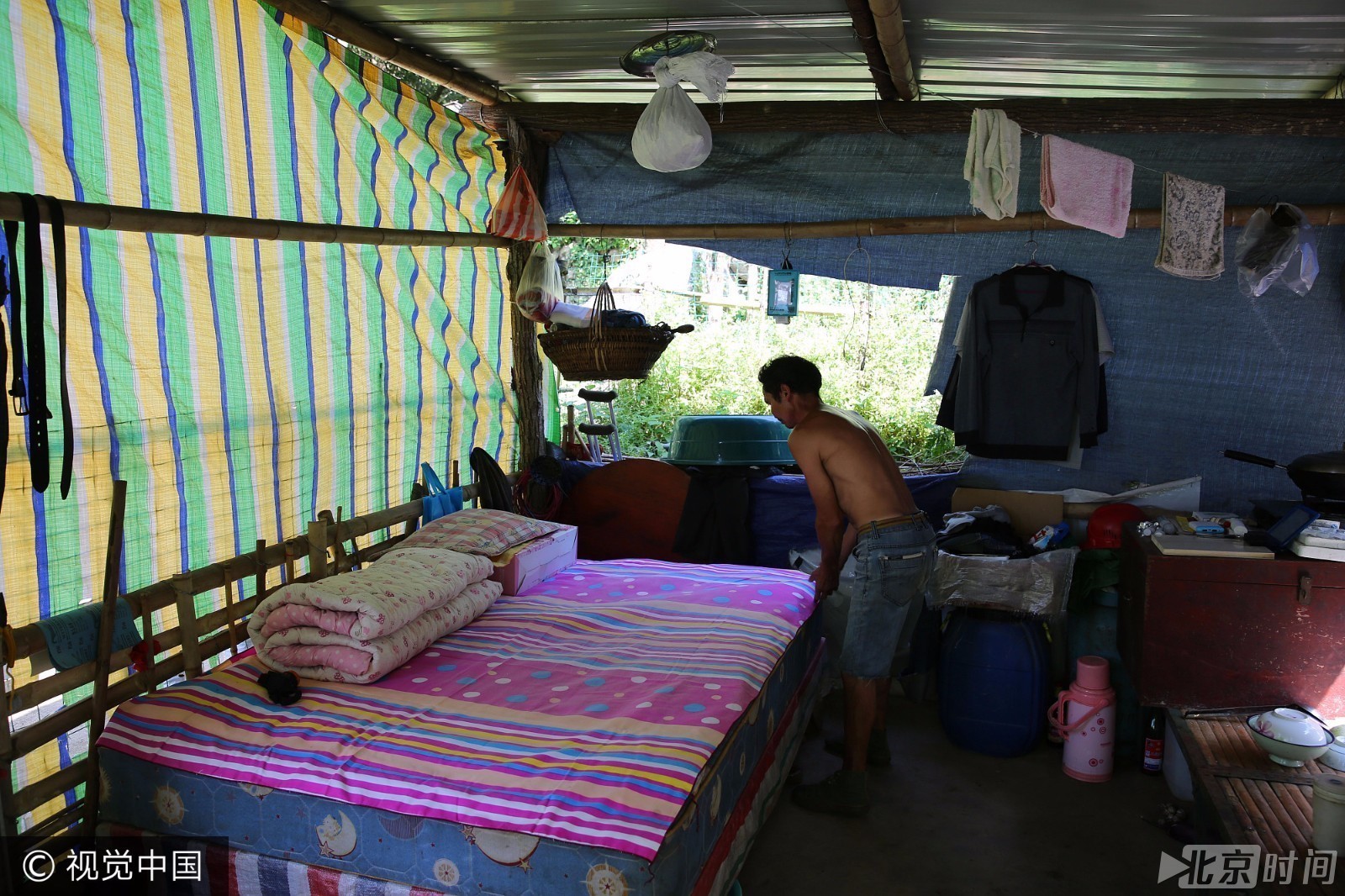 男子独自在秦岭住窝棚牧百羊 称不脱贫不下山 男子独自在秦岭住窝棚牧百羊 称不脱贫不下山