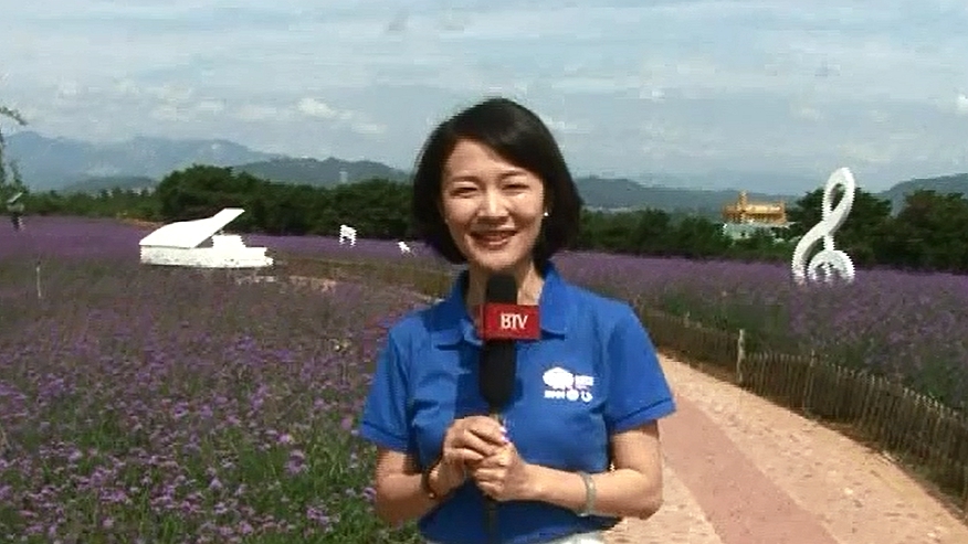 “美丽乡村 筑梦有我”聂一菁再次来到蔡家洼村 “美丽乡村 筑梦有我”聂一菁再次来到蔡家洼村