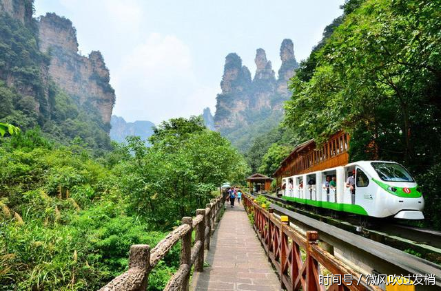 天津坐飞机到张家界,包导游(线路攻略)