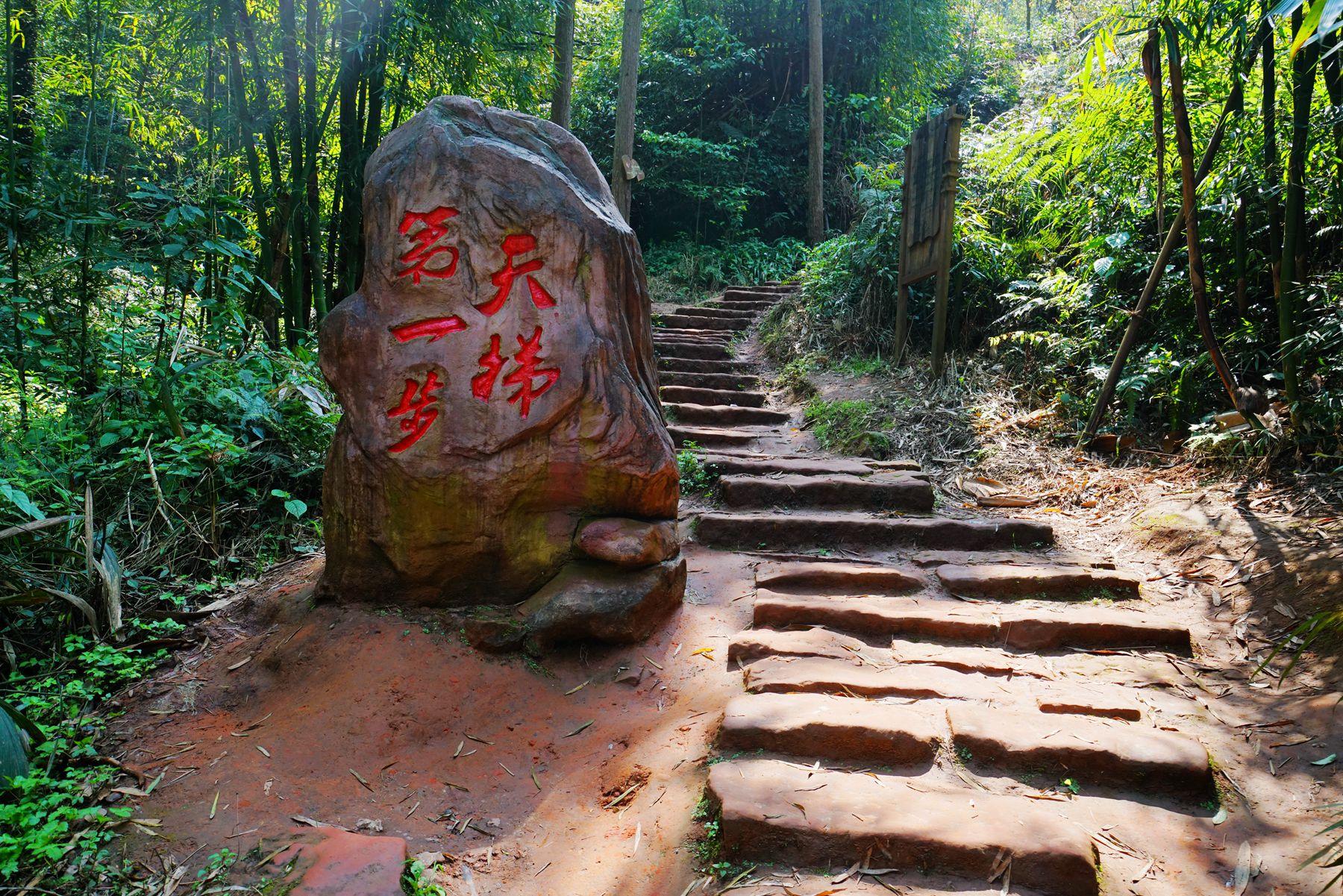 七夕乘爱情专列 登爱情天梯见证爱情