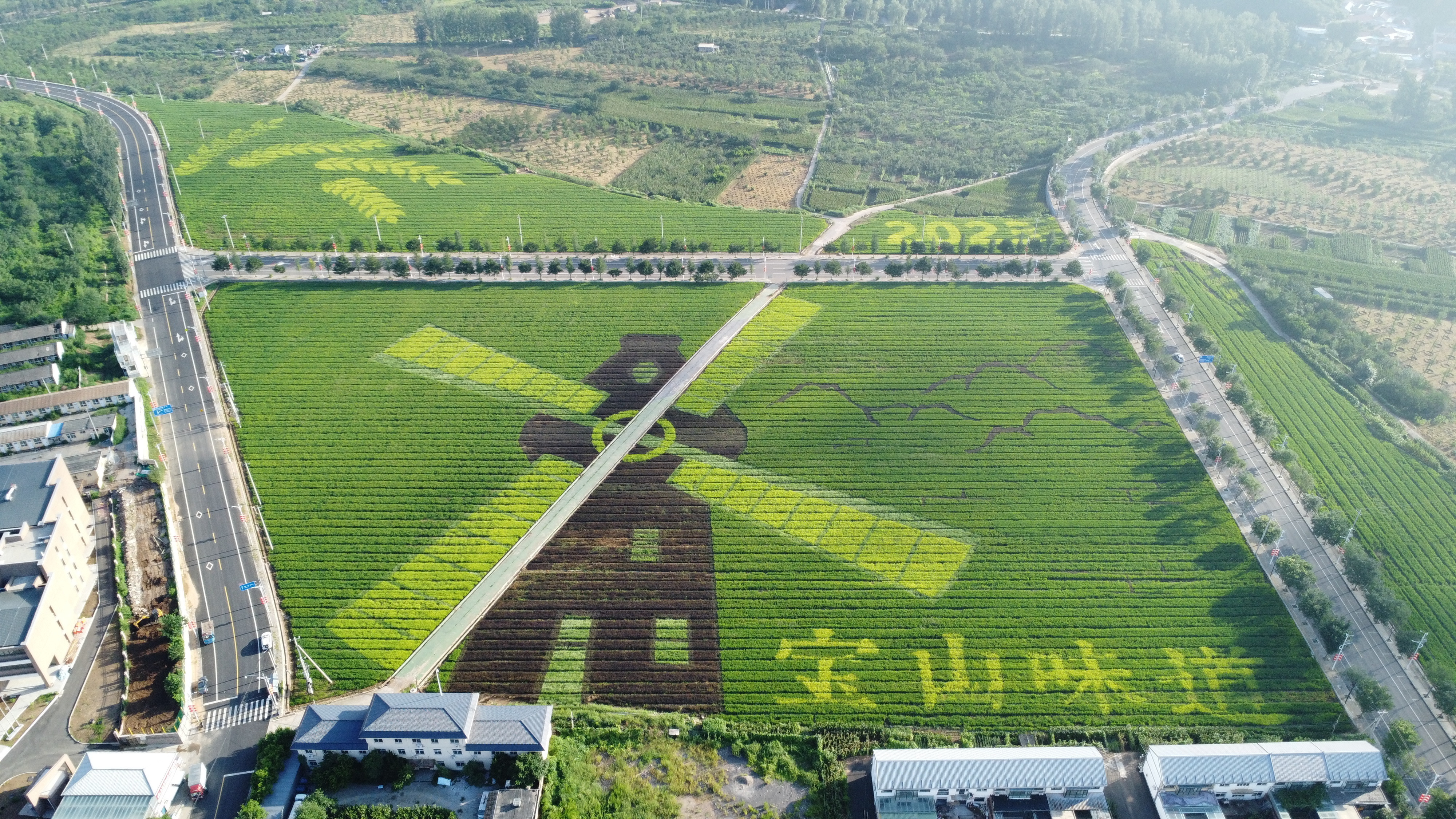 太美了！百余亩稻田画进入最佳观赏期，绘出乡村振兴好“丰”景