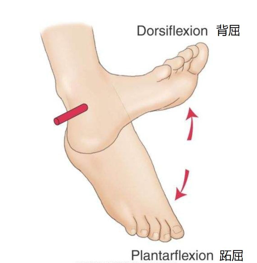 如何提高跑步速度? 3个简单练习让你跑得更快