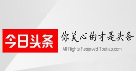 今日头条粉丝经济暴涨,100万用户按捺不住,粉