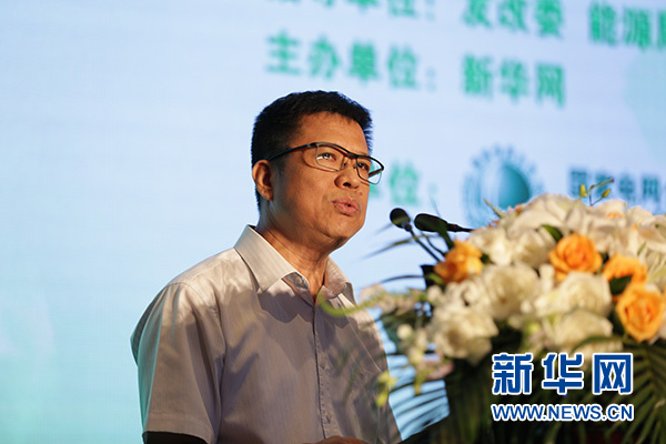 国家能源局总经济师郭智:推动能源发展改革要坚持"五个不动摇"