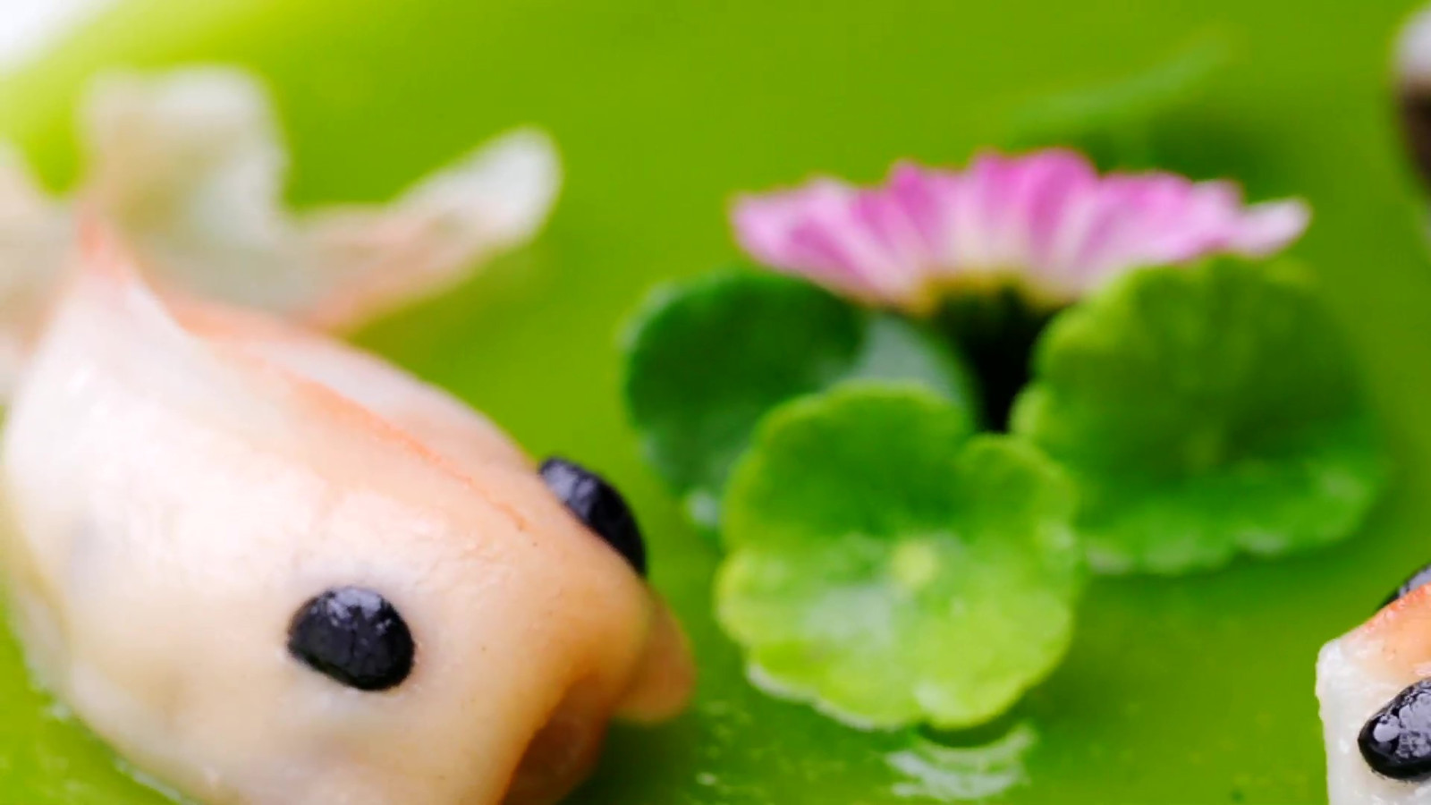 金鱼这么可爱能吃吗?晶莹剔透,萌翻全场,保证好吃 金鱼这么可爱能吃吗?晶莹剔透,萌翻全场,保证好吃