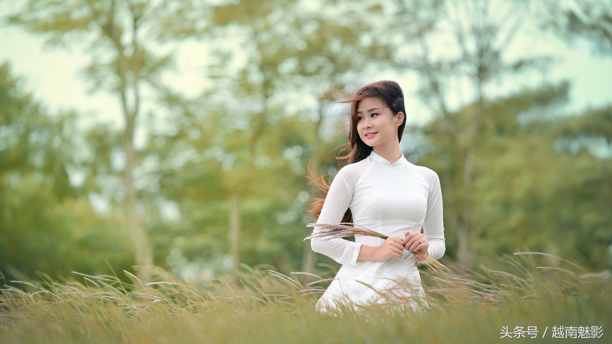 越南女孩的奥黛风情,越式"旗袍"受中国影响深远 - 美女写真 - 乱弹