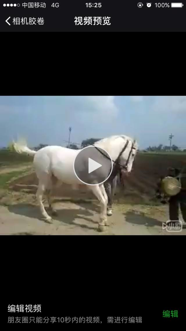 微信新版本新功能,小视频崛起的时候到了!