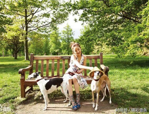 鹿晗 李易峰 胡歌 谢娜 吴昕 明星是这么被明星