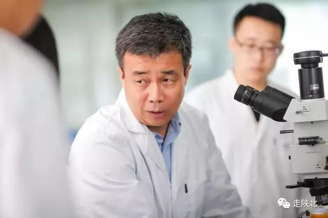 榆林出了个国家千人计划特聘专家