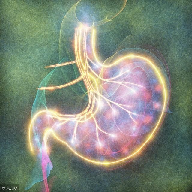 温水里扔5粒,幽门螺杆菌一扫而光,胃不痛也不