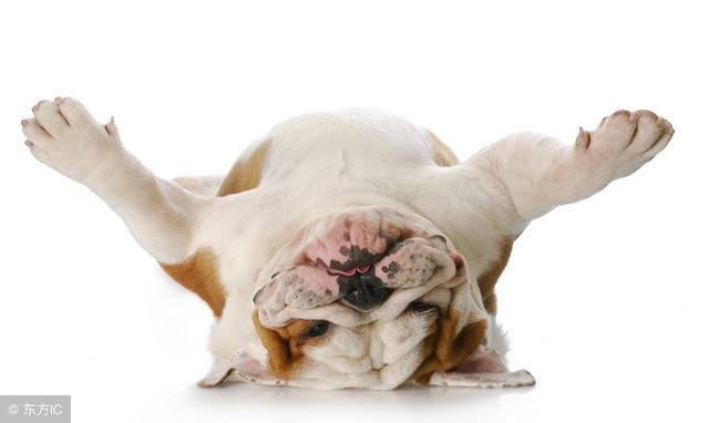 到底是安装office365还是office2016