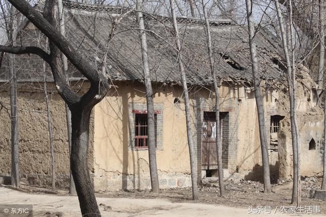 农村老人去世后,宅基地该怎么处理?继承人可采