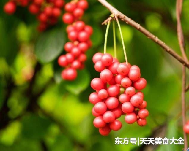 男人睡前用它泡水喝,不仅补肾壮阳,还能补血清