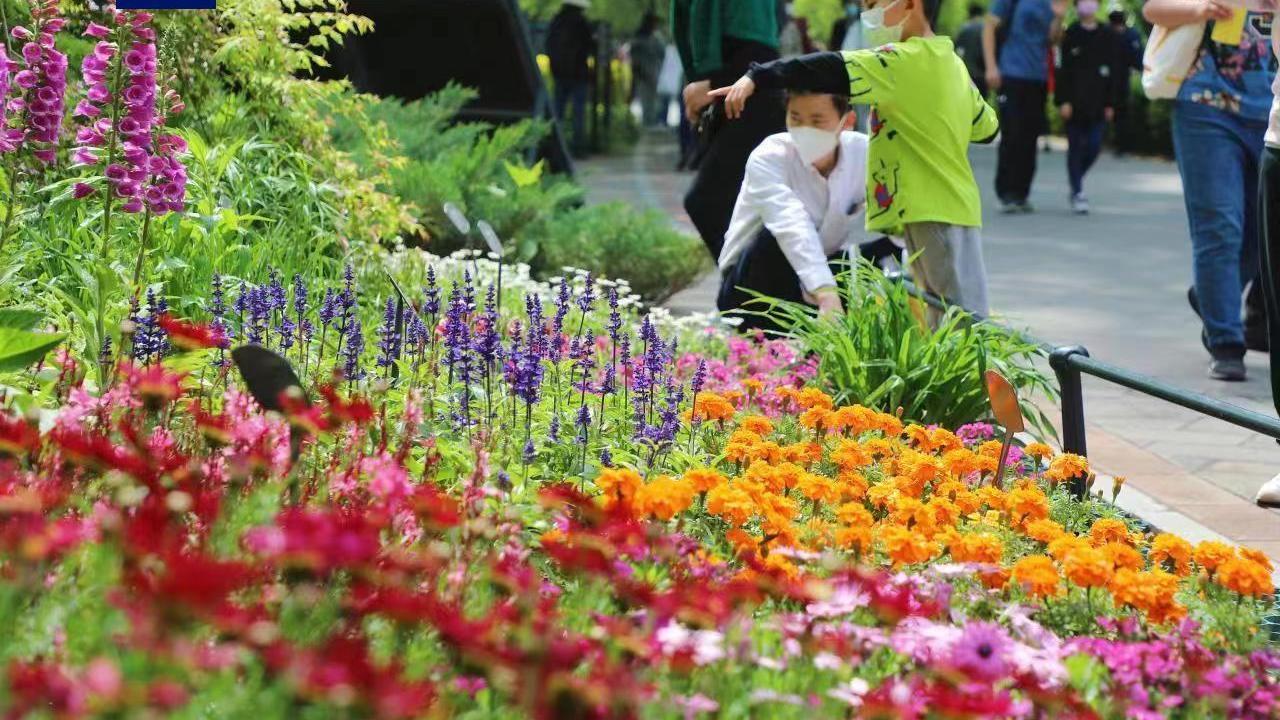 赏花、观展、科普……“五一”假期北京市属公园等你来打卡