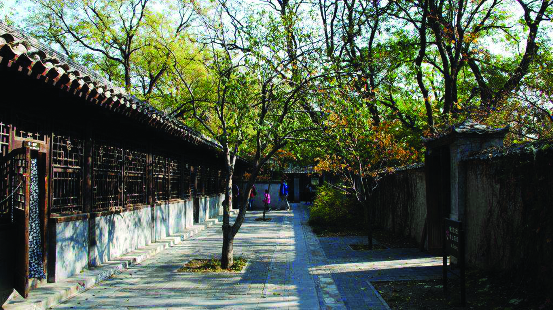 黄叶村中林木葱郁，绿草如茵，环境优美而清静。村内呈现出一派悠闲的乡村田园风光，非常令人陶醉。