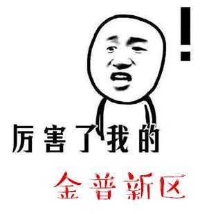 大连这个区未来发展要逆天!全国人民都羡慕这里!