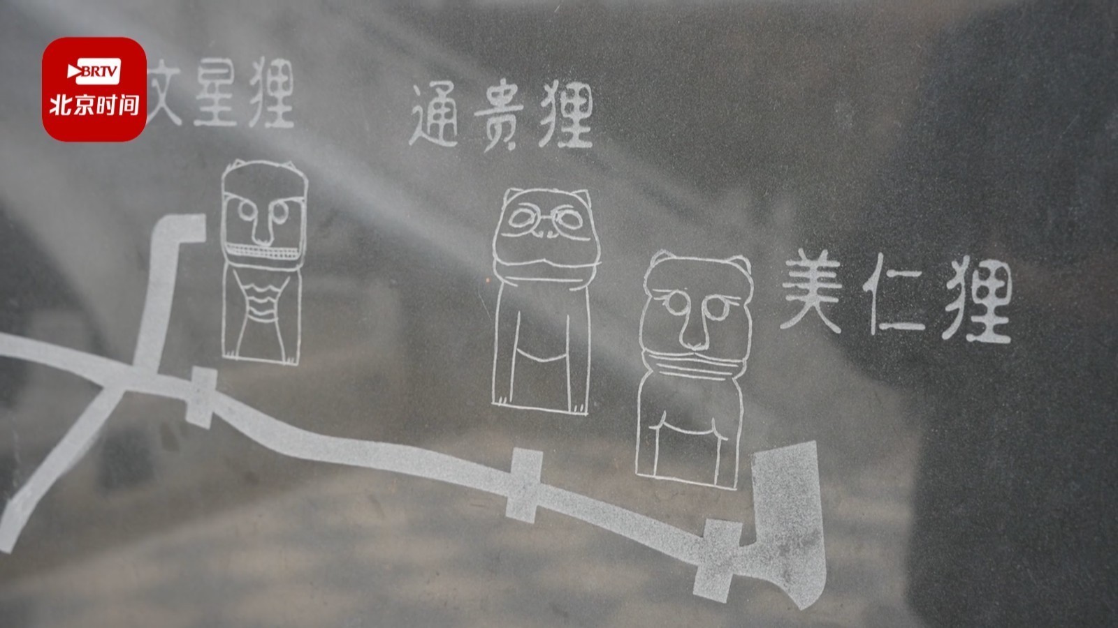 吉祥物带来一年好兆头！山塘街“狸猫”被摸“包浆”啦~