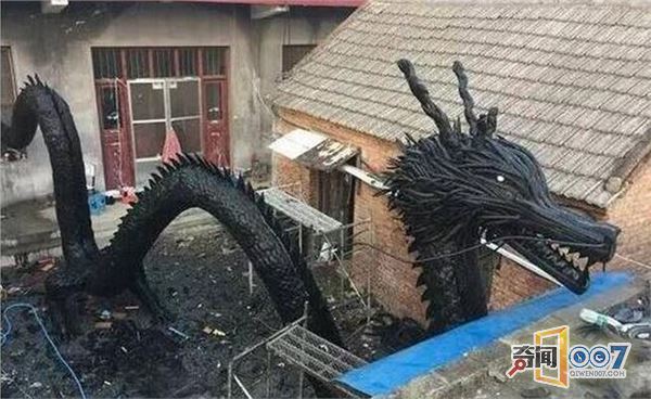 农村的院子里出现了一条黑色的龙,小伙的一席话让人惭愧! 农村的院子里出现了一条黑色的龙,小伙的一席话让人惭愧!