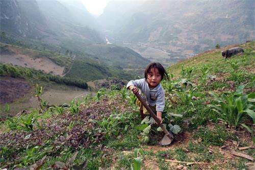 越南女子嫁到中国生下的无国籍无户口女儿, 女