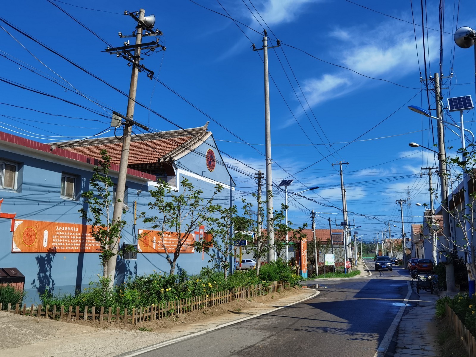 平谷区大兴庄镇:坑塘变湿地公园 美丽乡村绘画卷