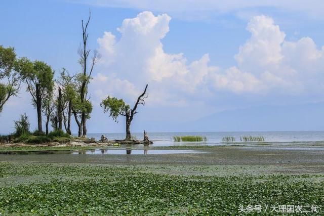 如果说旅行是一剂中药,那么愈合伤口需要多久