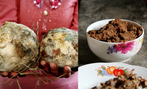 东北大娘秘制大酱,酱引子发霉长毛,做出来的味道却棒极了