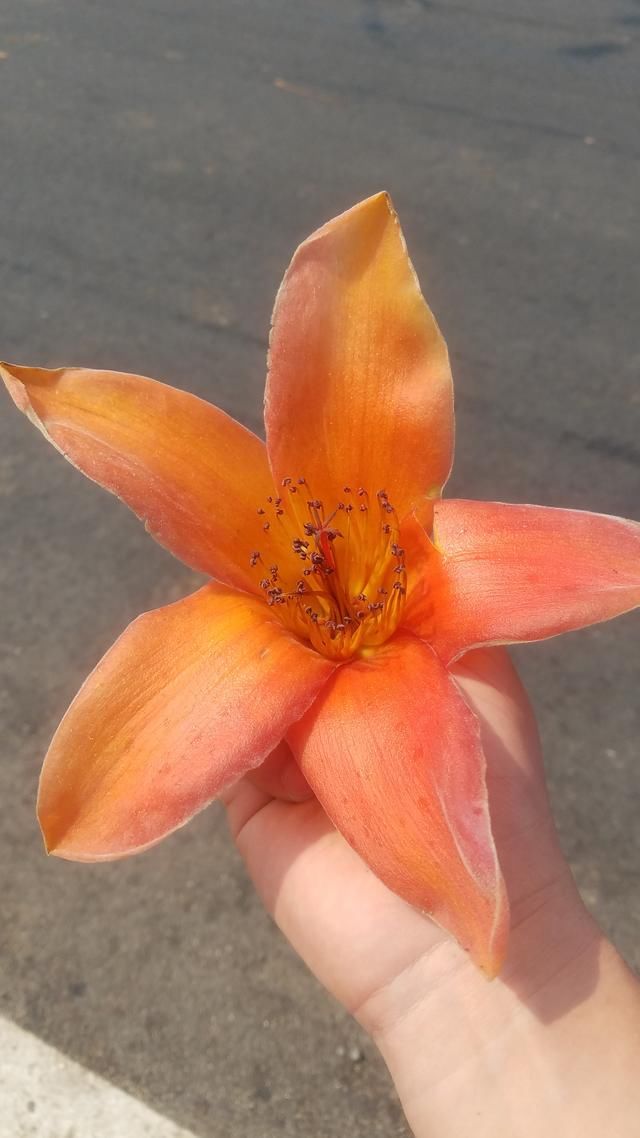 四川人均GDP超过成都的城市 还是全国唯一以