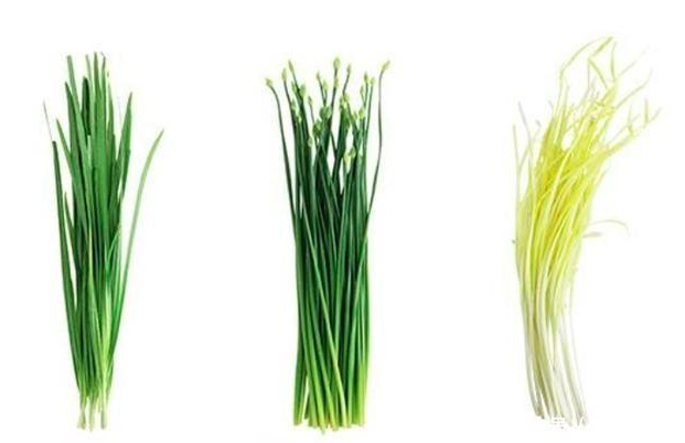 上市公司造假收割韭菜,遭起诉索赔,公司不赔不