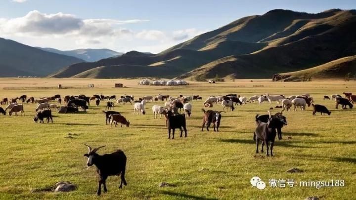 俄罗斯到处扩张,为什么唯独没有把蒙古纳入帝