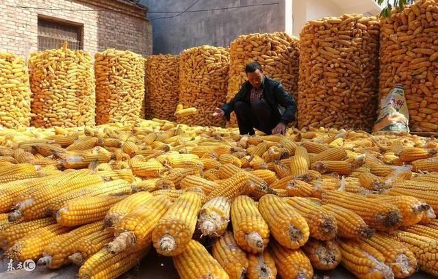 2018年粮食支补发放的金额是多少?