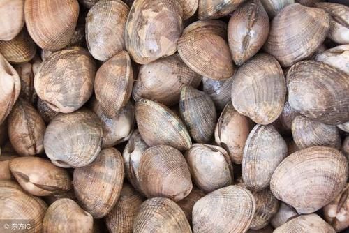 花蛤、蛏子、蚬子、蚶子、蛤蜊、海瓜子、贝壳