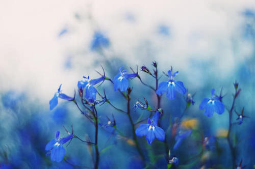 2018致拼搏路上的自己,句句激励人心!