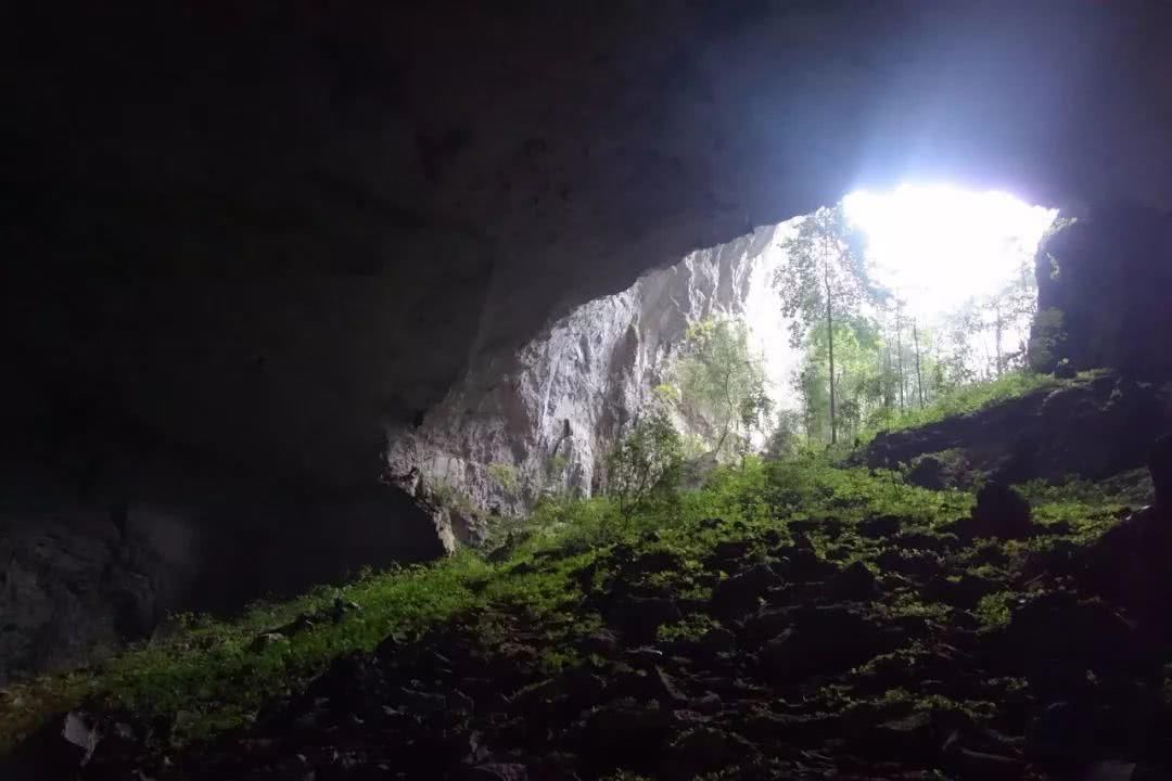 小学生寒假活动感受怎么写?这名小学五年级学