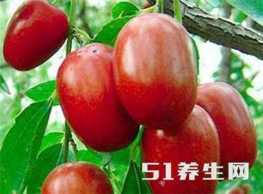 红枣是天然维他命丸,加上它一起吃,竟相当于是