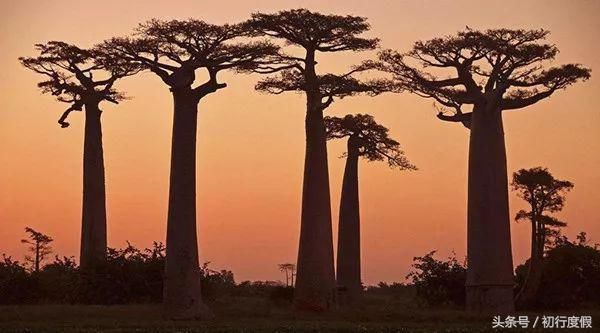 这个西非国家被称为好客之国,去过的中国人却