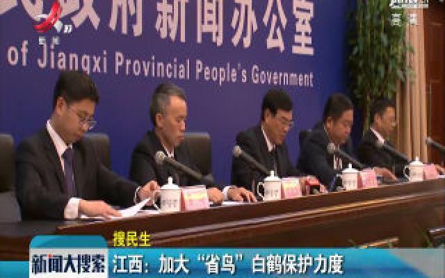 江西：加大“省鸟”白鹤保护力度