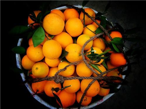 吃脐橙的好处吃脐橙是降火还是上火