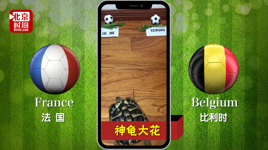 世界杯神龟疯狂预测:“欧洲红魔”昂首挺进决赛 世界杯神龟疯狂预测:“欧洲红魔”昂首挺进决赛