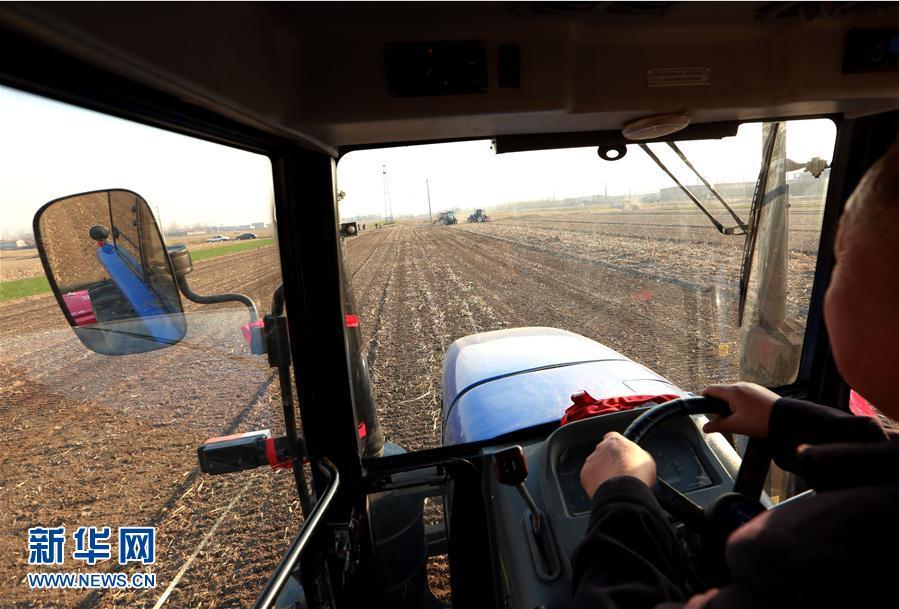 3月14日,农机手在技术人员指导下开耕播种。春回大地,河北省文安县深入开展农技培训备战春耕,农业局技术人员走进田间地头,精心为农机手和种植户组织多场交流会,为实现全年粮食丰收开好头、起好步。新华社记者潘旭 摄
3月14日,农业技术人员到耕地里指导农机手开耕播种。春回大地,河北省文安县深入开展农技培训备战春耕,农业局技术人员走进田间地头,精心为农机手和种植户组织多场交流会,为实现全年粮食丰收开好头、起好步。新华社记者潘旭 摄
