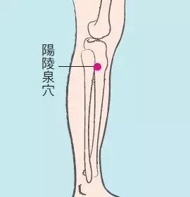 根据症状治感冒,不用分风寒风热啦