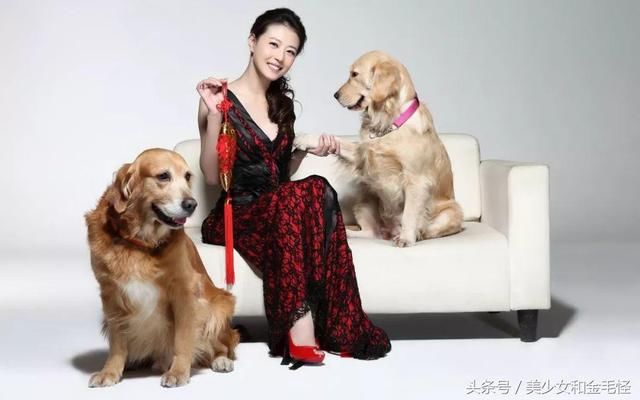 本期重点问题:宠物和孕妇,感染弓形虫对孕妇的