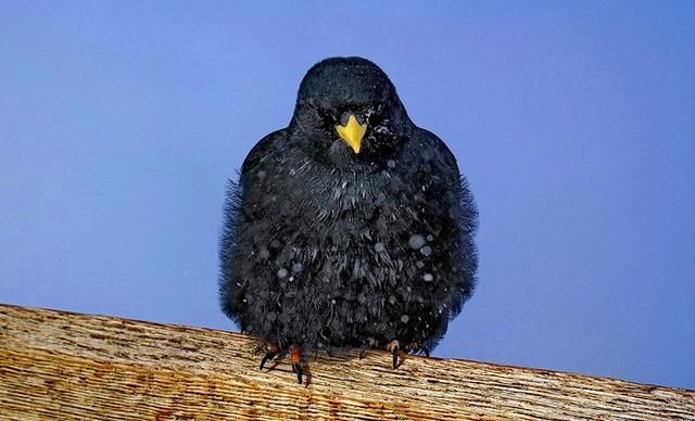 普通人理财这样才靠谱,'定投'的终极奥义