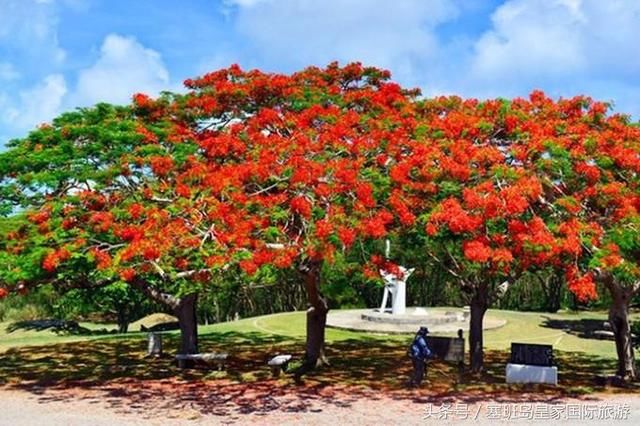 一封塞班岛来信!2018塞班岛旅游出入境须知你