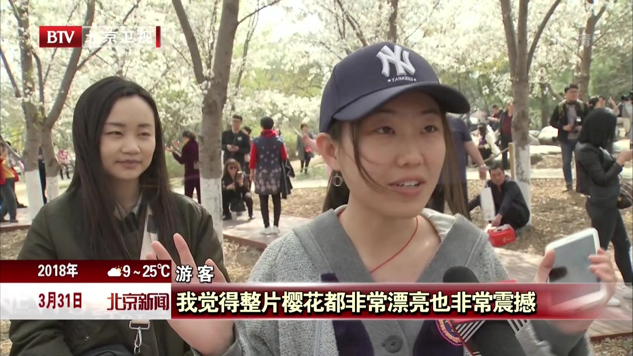 满园春色关不住 踏青赏花正当时 满园春色关不住 踏青赏花正当时